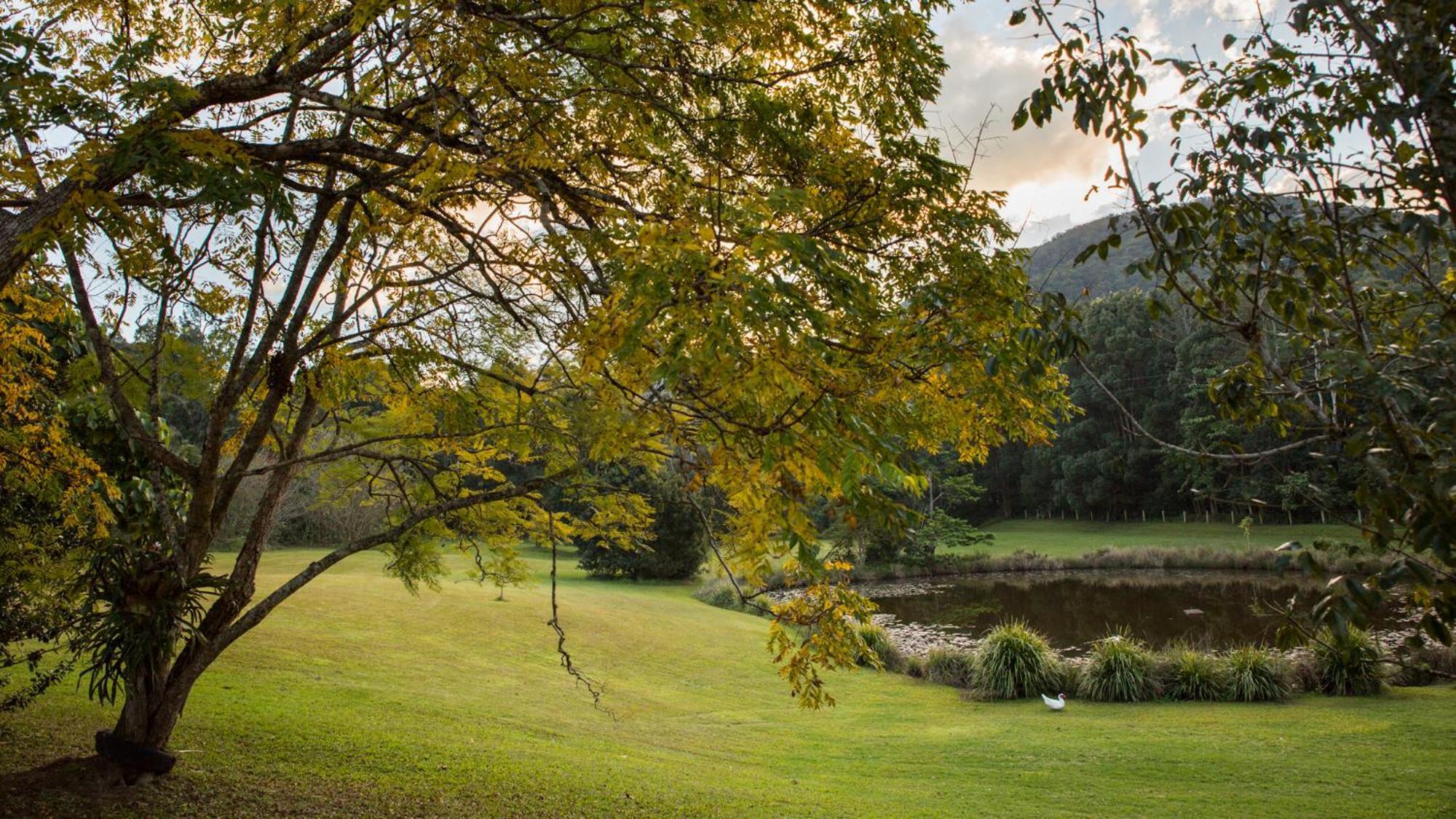 Mavis'S Cabins @ Mt Warning Uki Zewnętrze zdjęcie