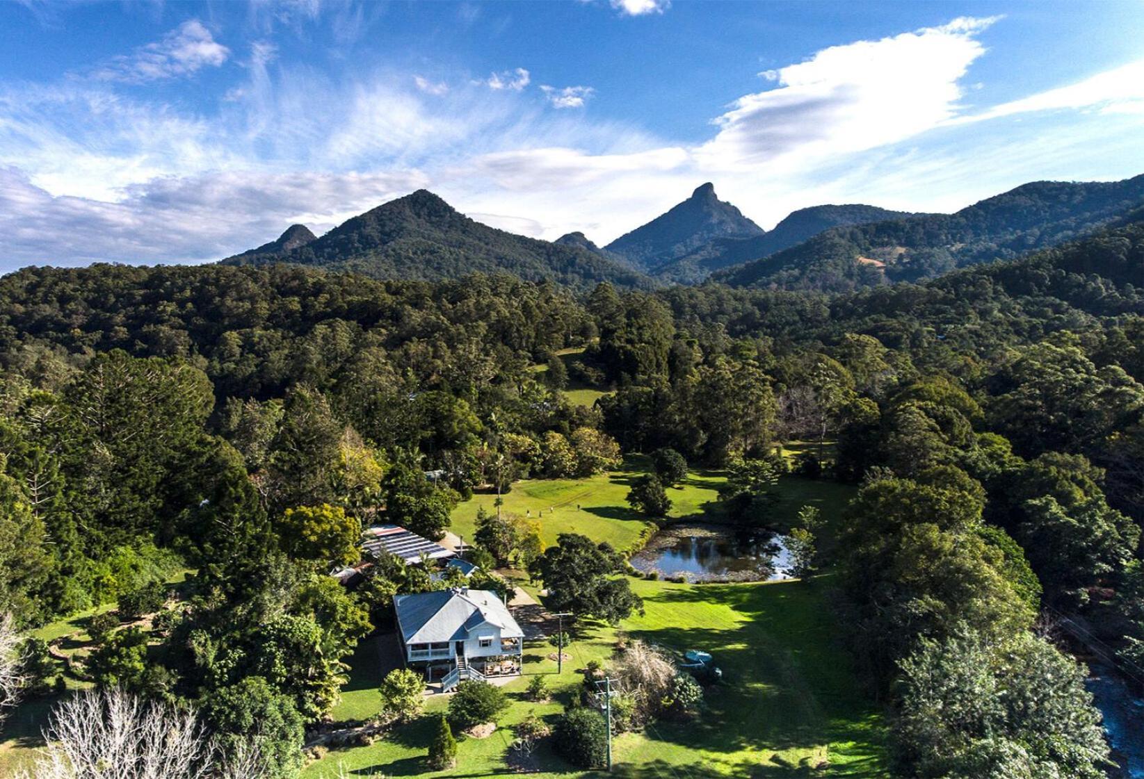 Mavis'S Cabins @ Mt Warning Uki Zewnętrze zdjęcie